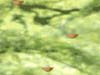 달걀 올리기